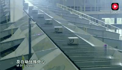 顺丰快递为啥这么快?曝光1小时分拣7.1万件的秘密
