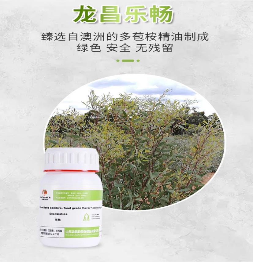 饲料禁抗和全面禁抗,饲料禁抗的视频