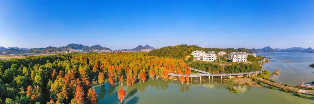 杭州最佳赏秋路线推荐,杭州附近赏秋的地方