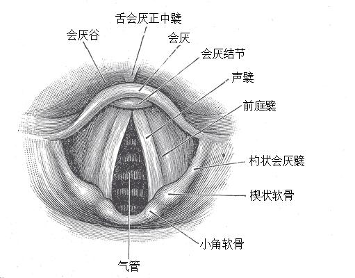 搞笑诺奖:在充满氦气的房间里来上一段B-BOX会怎样?
