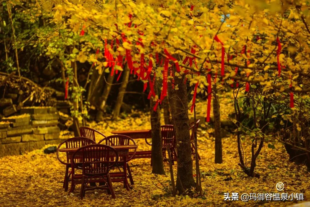 在腾冲，我们买什么？