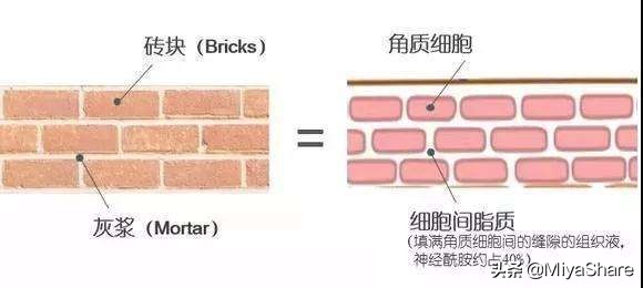 真正的护肤知识,如何正确科学有效的护肤保湿