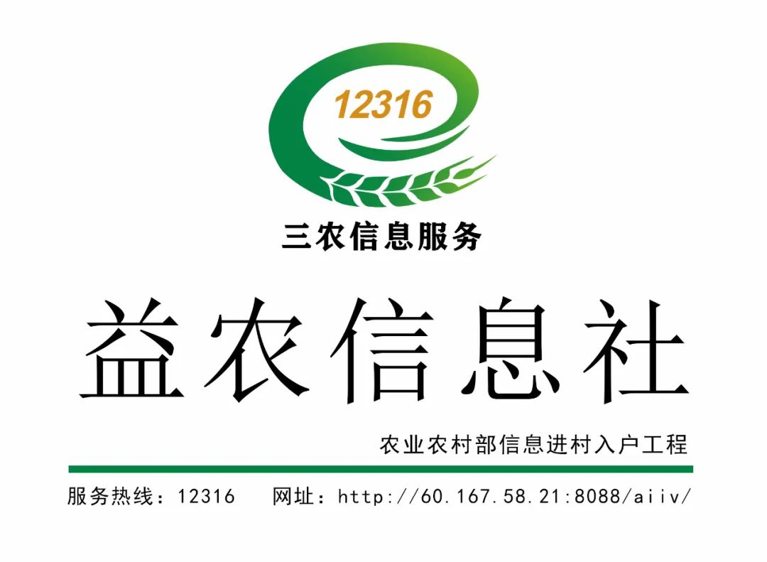 从退伍兵到群众贴心人,从退役军人到乡村致富领路人