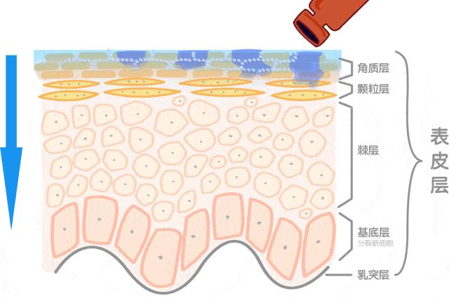 兰蔻哪一款是真正的小黑瓶,兰蔻小黑瓶最低价多少合适