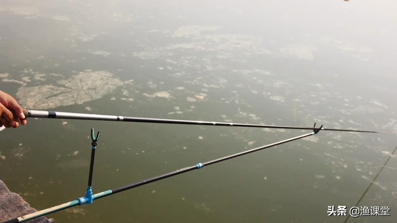 缺氧怎么钓鲤鱼,水面缺氧如何钓鱼攻略图解