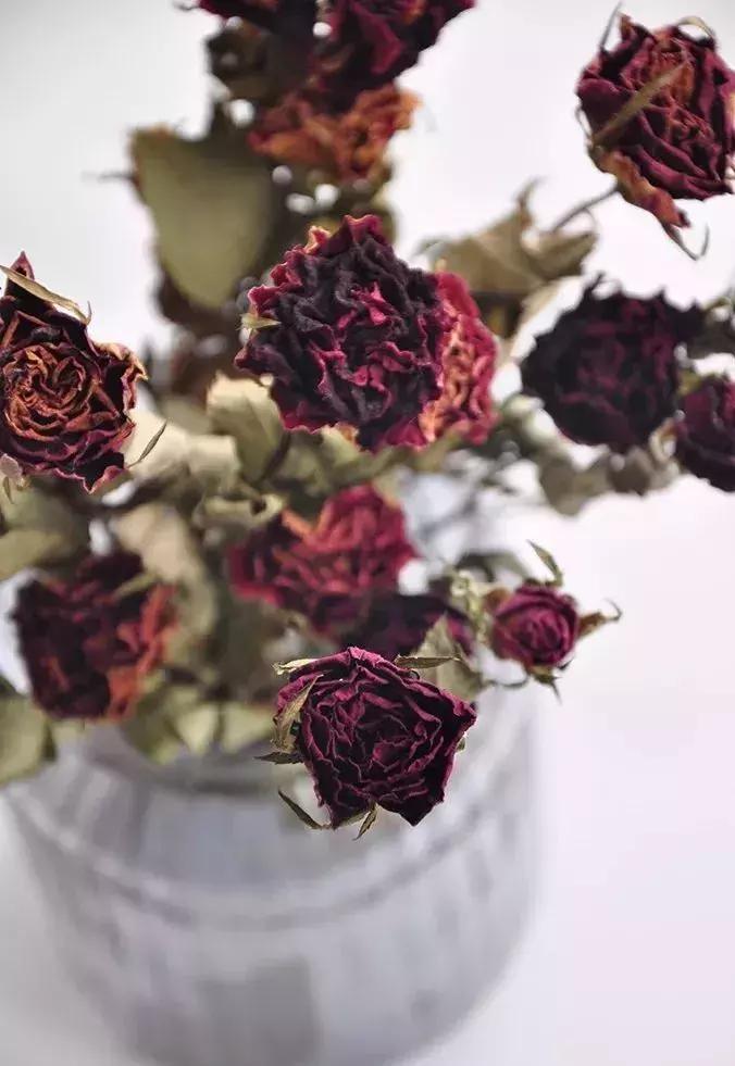 8种能做干花的鲜花，男朋友送的花就这么做