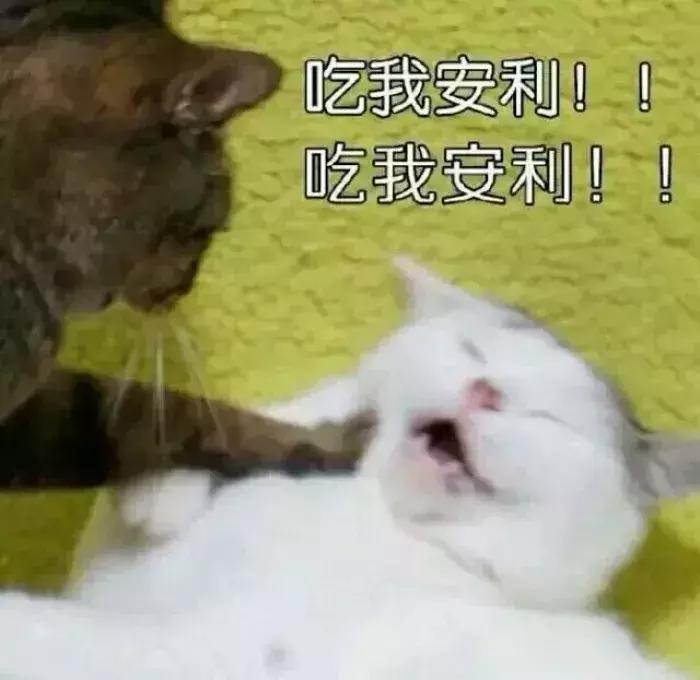 在日本生活的中国二胎夫妇,日本二胎家庭的真实感受