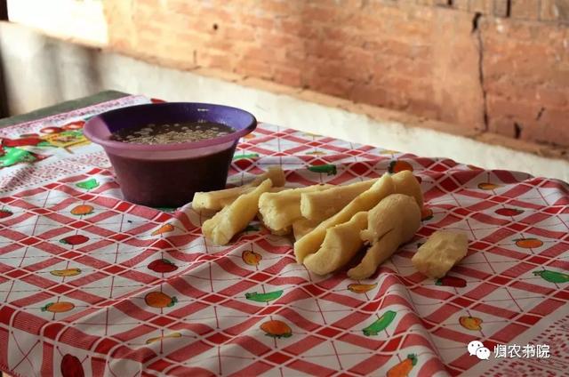 中国年年进口的大豆，为何让巴拉圭从富饶变得死寂？