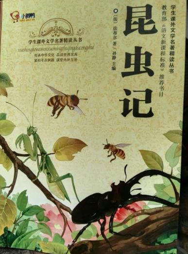 10本世界名著大盘点，你家孩子读过几本？可别拿网络小说凑数