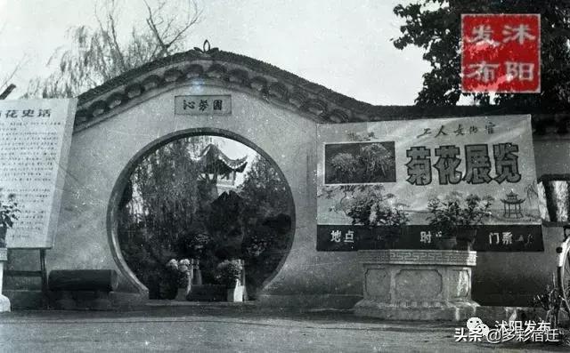 沭阳记忆地标,记忆中的沭阳