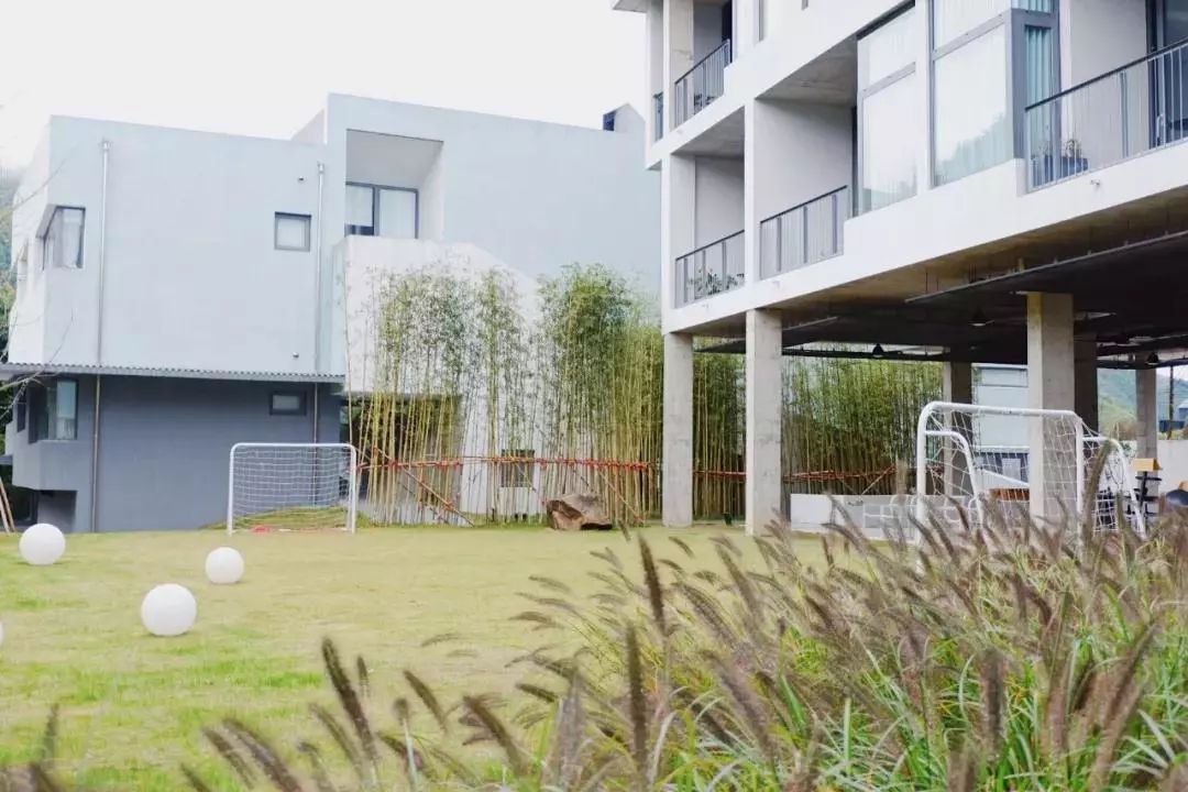 重回校园体验大学生,重回校园操场体验青春活力