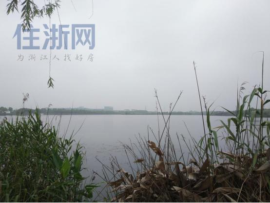 杭州湘湖附近滨江的楼盘,杭州萧山滨江翠栖府多少钱一平方