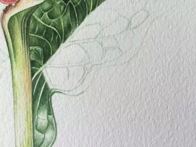 水彩密密麻麻的树叶怎么画,水彩画教程入门叶子