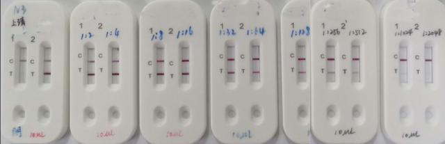 致敬钟南山院士和抗疫一线,一图记录钟南山院士抗疫的59天