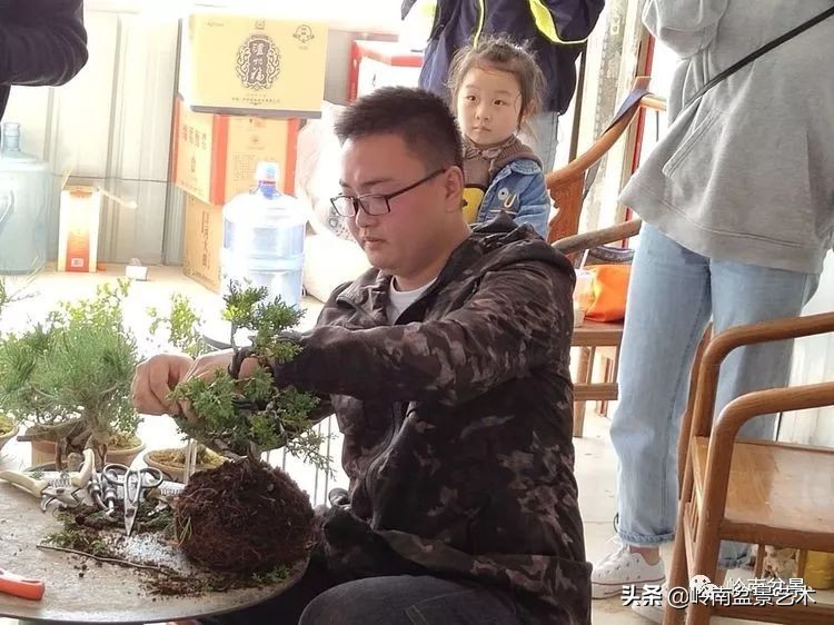 盆景产业的前景,我的盆景创业之路