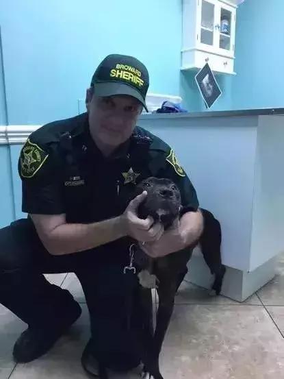 缉毒犬会染上毒瘾吗视频讲解,缉毒犬闻毒品味道会闻上瘾么