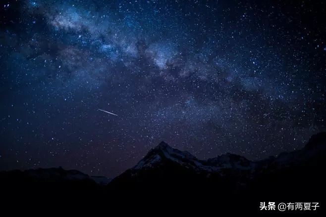 为什么十二生肖里老鼠排第一,为啥十二生肖老鼠排第一