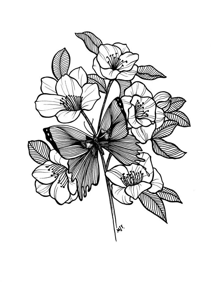 高级线描画花卉大全,花卉线描100种