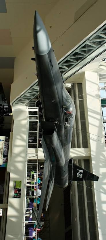 虎鲨悲剧,极富悲剧色彩的虎鲸