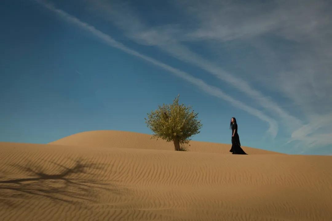 守住低处才是人生最高境界,有深度的人才是真正的高人