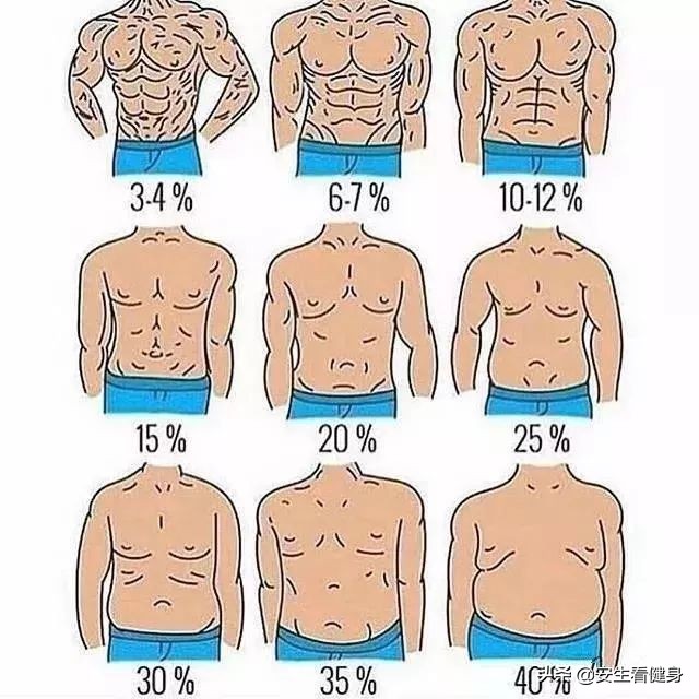 体脂率判断肥胖程度,体脂率怎么判断身体健康