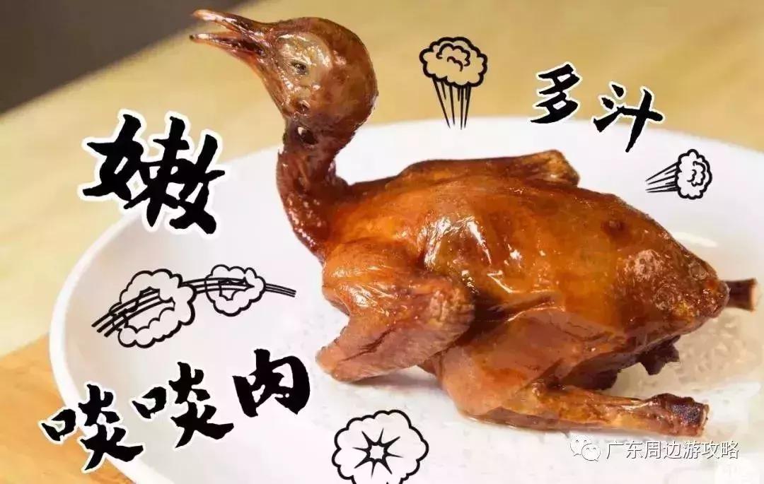 重磅广中珠澳高铁穿越南沙城心,广州地铁直达中山