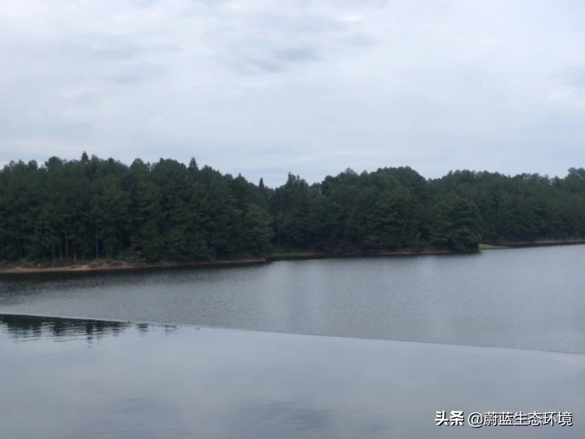 深圳最好的公园东湖公园,深圳东湖公园有哪些风景区