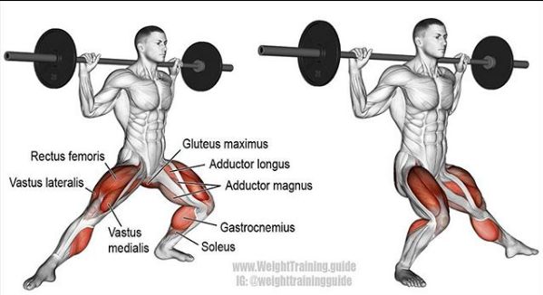 胸肩背臂腿腹训练动作,腰臀肌肉训练方法