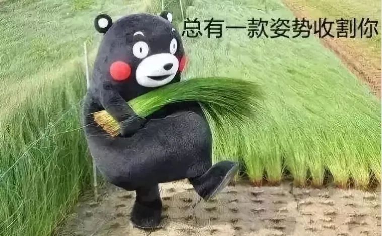 投资理财小常识-基金篇,理财基金知识分享