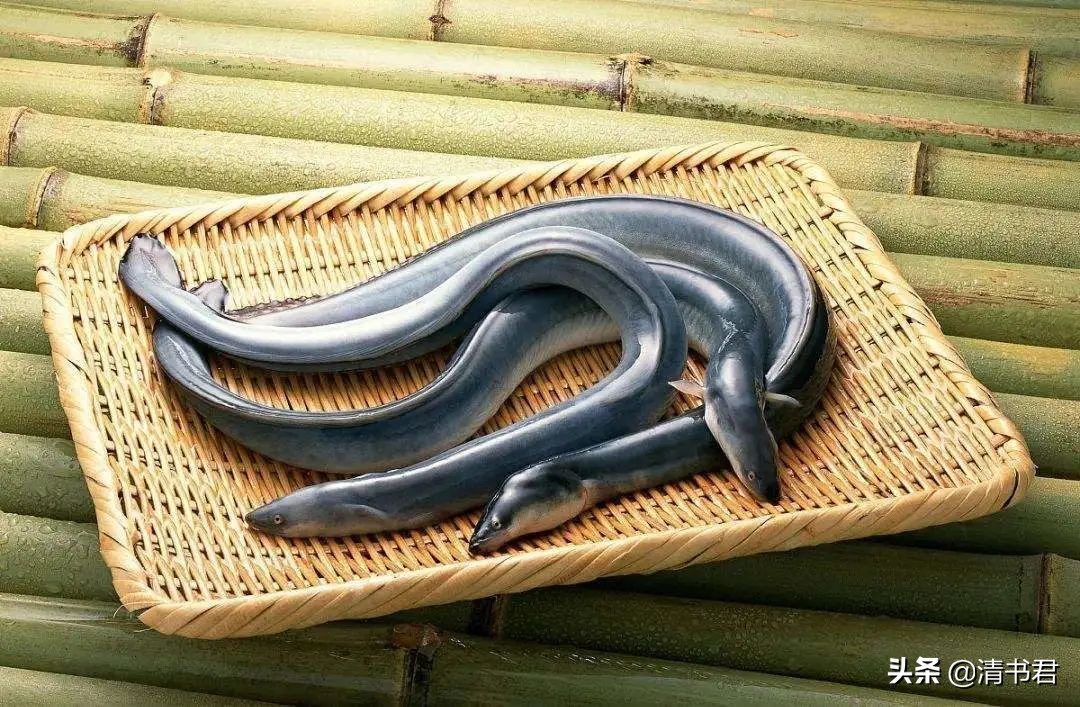 鳗鱼吃多了不舒服怎么办,鳗鱼吃不完怎么办