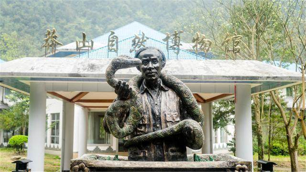 1996年莽山烙铁头蛇,莽山烙铁头被盗事件