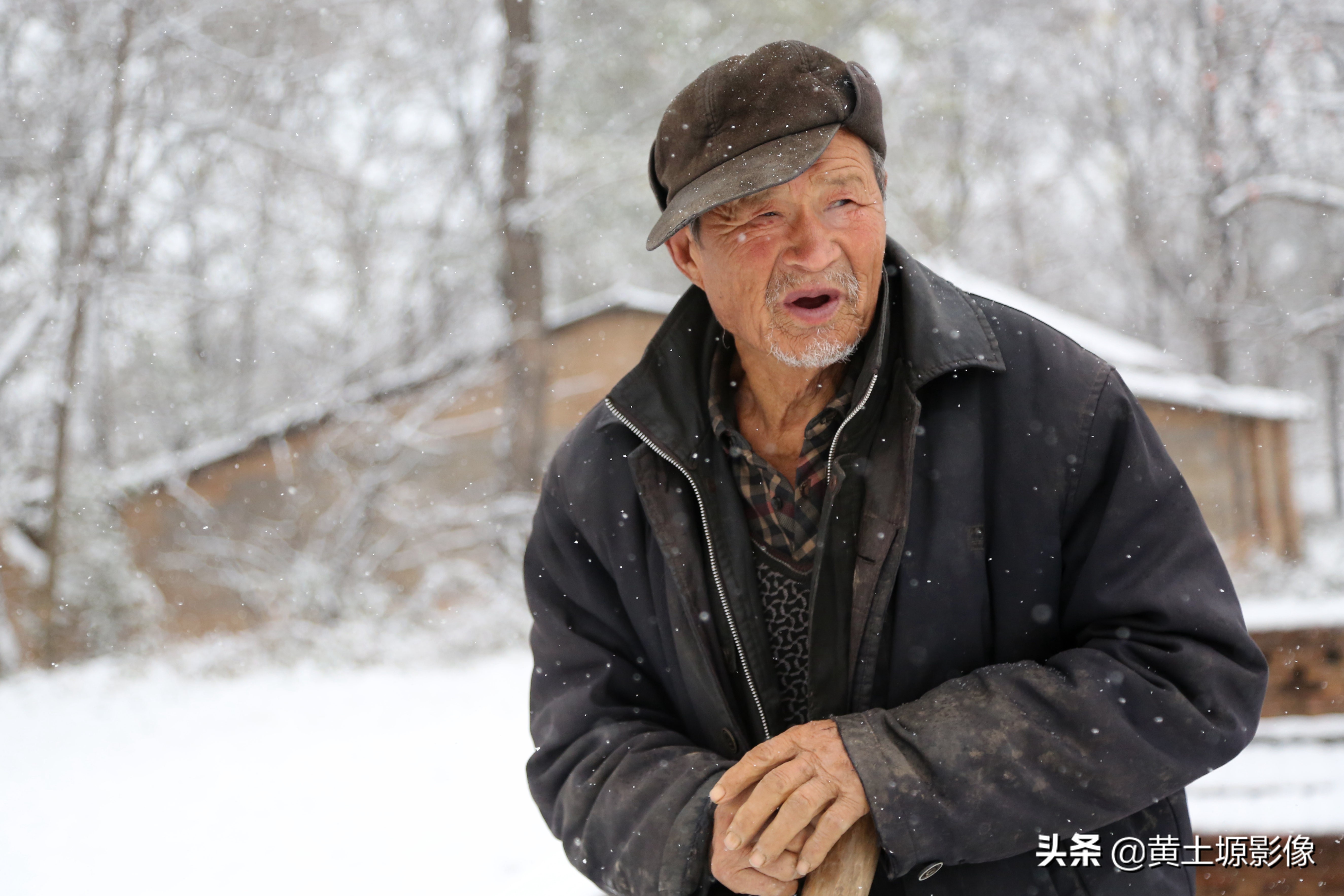 柿子树无人采摘,农村柿子下雪天也无人采摘