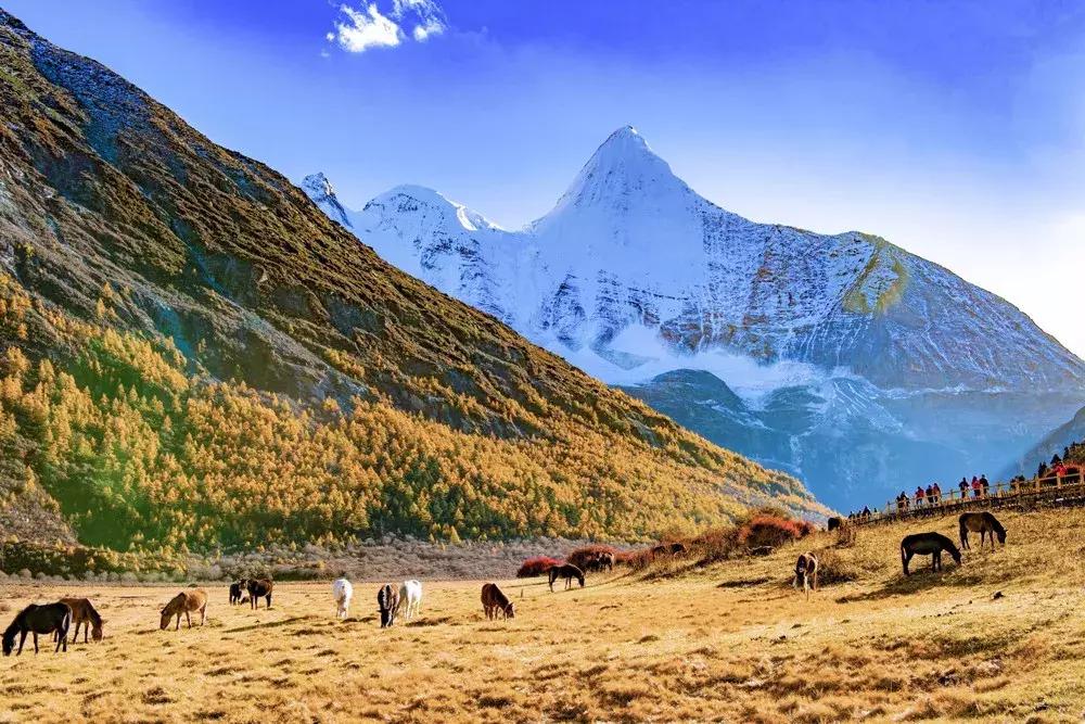 11月适合去旅行的著名风景推荐,10月11月适合旅游的地方