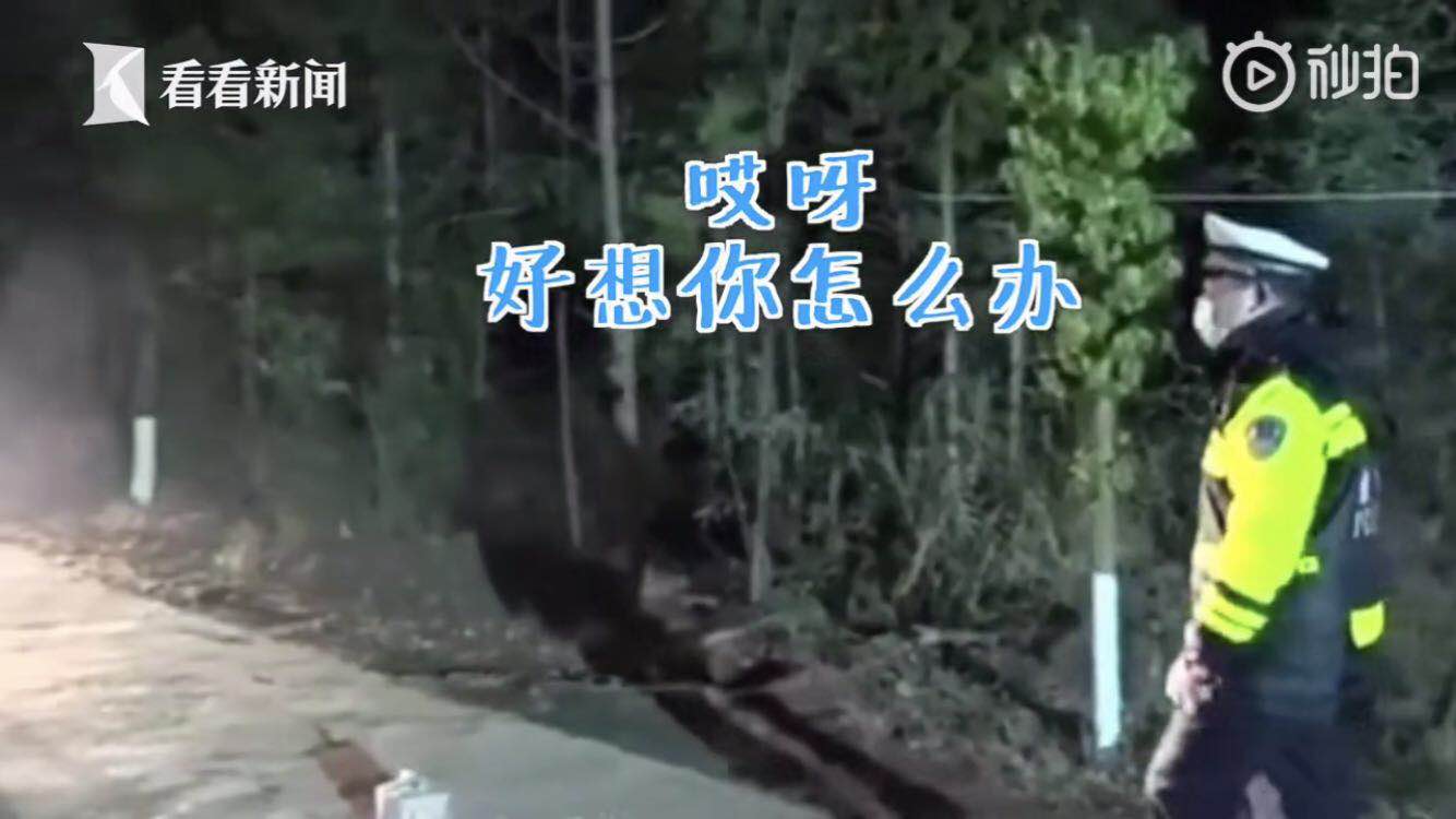 好想你怎么办？一位民警的土味情话感动朋友圈