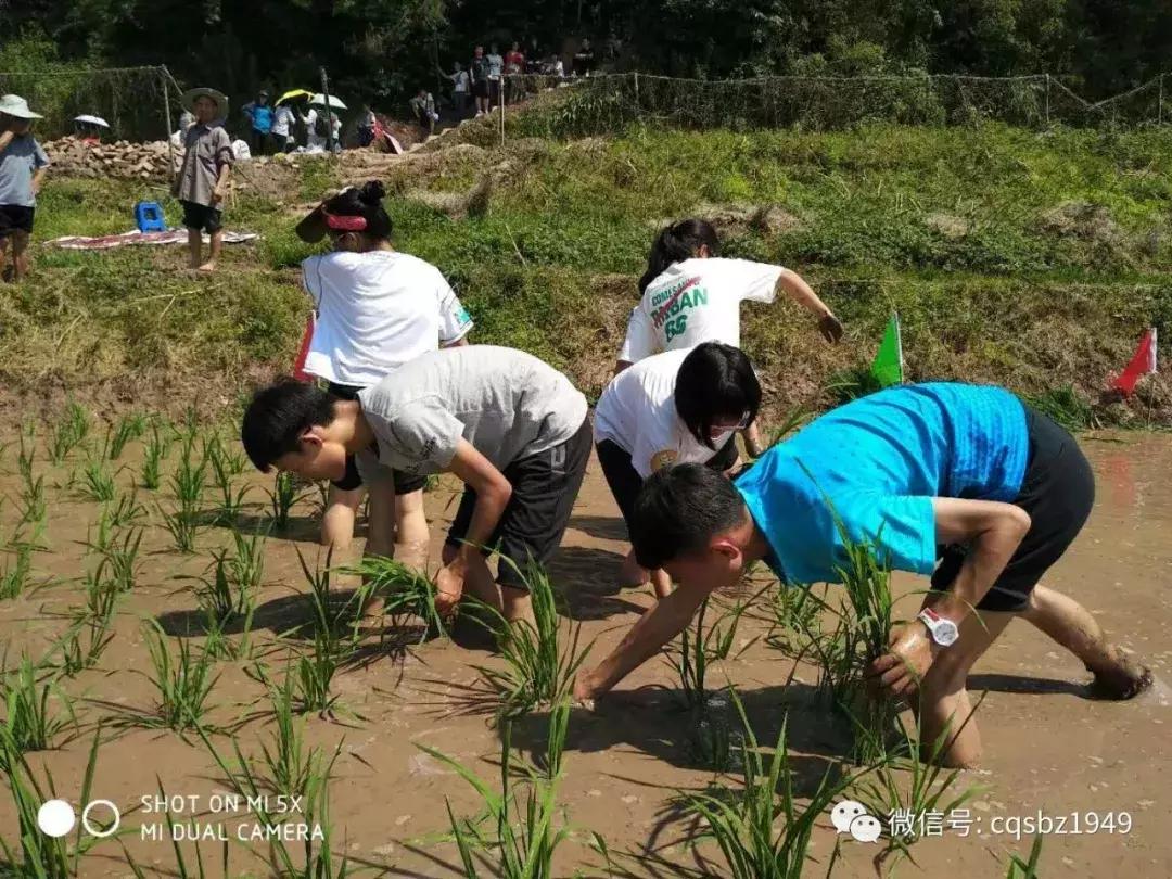 重庆十八中尖子班怎么样,重庆十八中初中排名