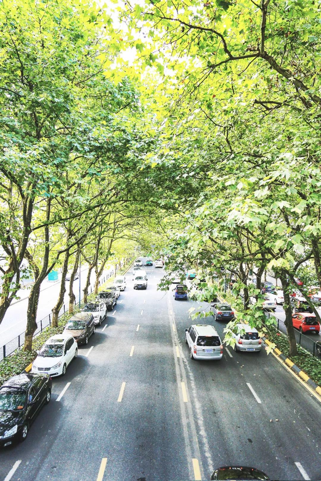 贵阳市创新型城市排名,贵阳市示范性综合实践基地