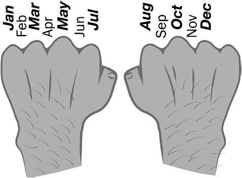 一学就忘,记不住怎么办?教你3招记忆窍门,增强大脑记忆力