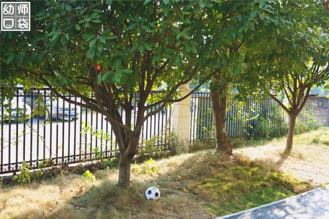 这里有最好的自然、最野的运动、最幸福的老师和孩子丨走进幼儿园