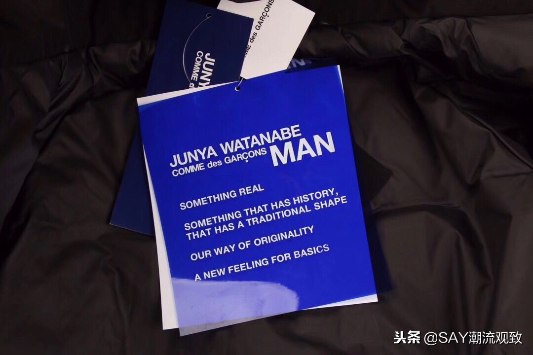 大鹅怎么出名的,今年为什么流行大鹅羽绒服