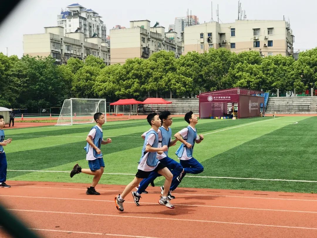 新境界智慧体育,智慧体育数字化