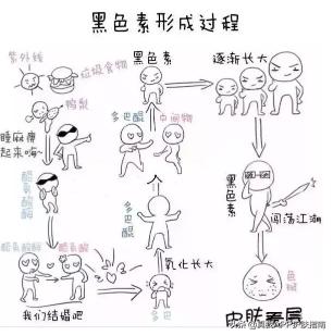 烟酰胺美白身体乳长毛吗,烟酰胺美白作用真的吗