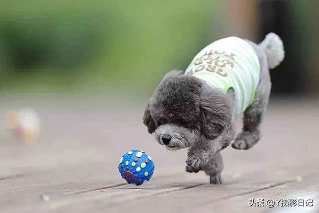 拍照时光线强的解决办法,拍照时光线暗怎么处理