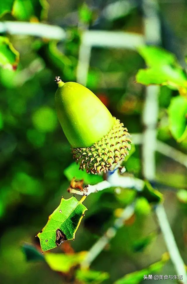 一条腿价值五十万吗,一条腿价值三千万