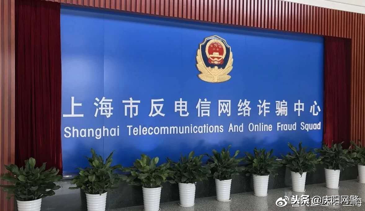 净网2019重拳打击涉网违法犯罪,上海市2021年电信网络诈骗数据