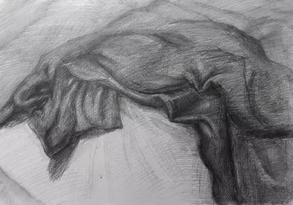 素描会画些什么,素描会涂色吗