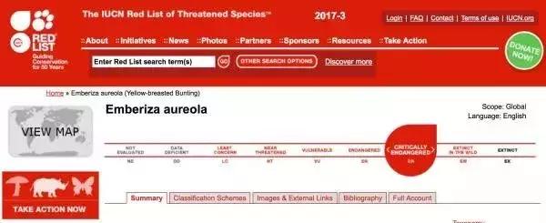从禾花雀到云雀，又一种鸟快被中国人吃绝种了！