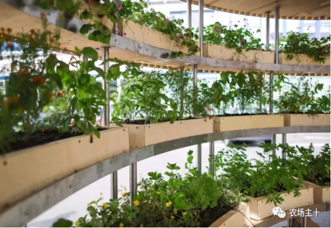 民宿装修成本多少钱一平方,民宿投入成本和回报率