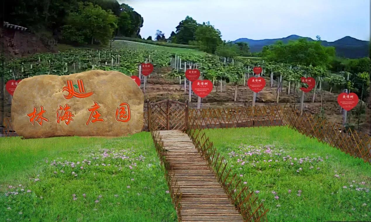 新型农业模式种植什么最赚钱,搞农业致富