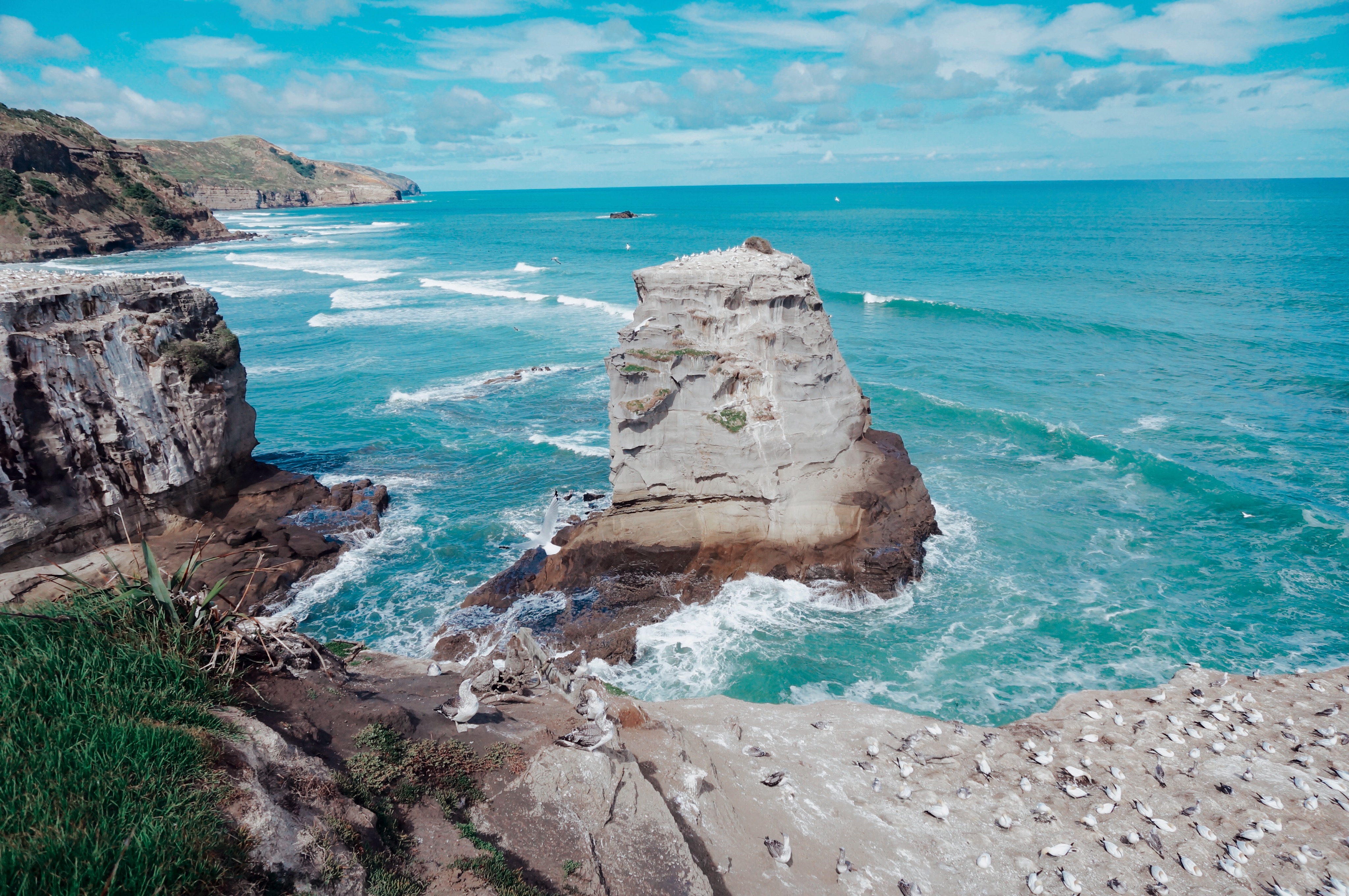 不到4W元的14年中古车，如何陪我闯荡奥克兰（附小众景点干货）