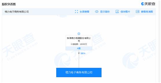 董明珠商界成功传奇,董明珠和张磊合作的股权结构